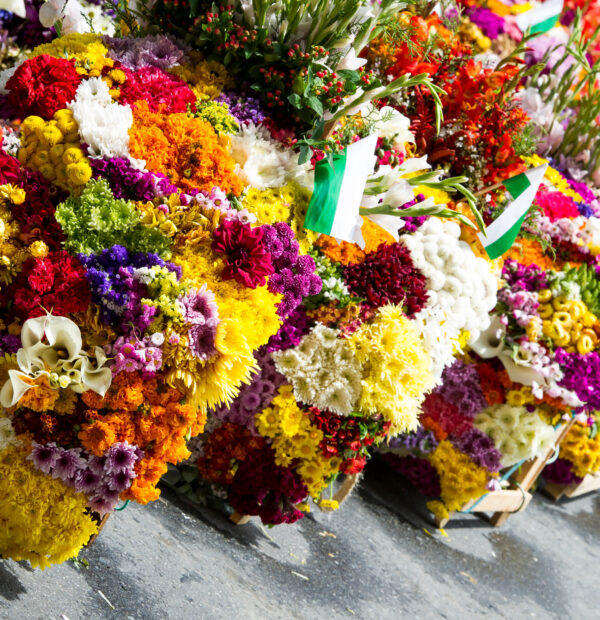 Visita finca silletera